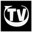 theVideocompany logo